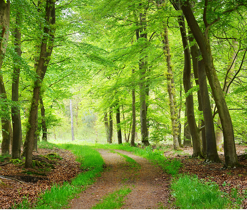 美國?？?_02_02